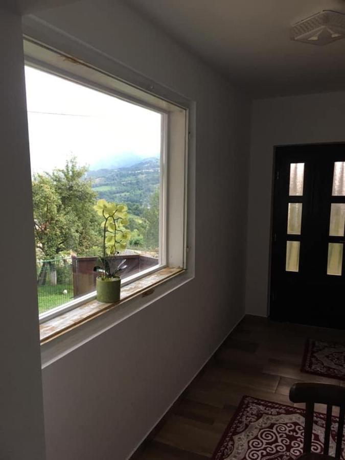 Cabana Hatere Moisei Εξωτερικό φωτογραφία