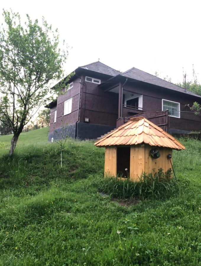 Cabana Hatere Moisei Εξωτερικό φωτογραφία