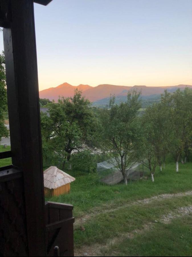 Cabana Hatere Moisei Εξωτερικό φωτογραφία