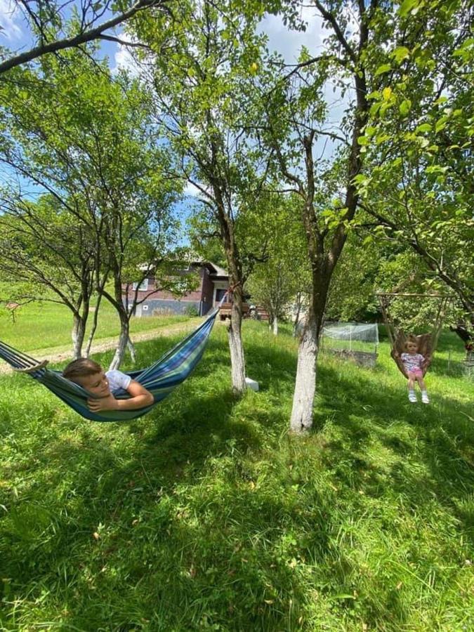 Cabana Hatere Moisei Εξωτερικό φωτογραφία
